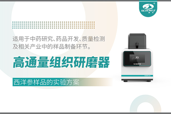 高通量組織研磨器處理西洋參樣品的實驗方案